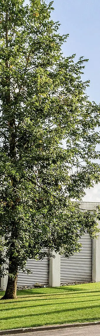Haupteingang der Werbeagentur Hüper mit Fahnen – 2